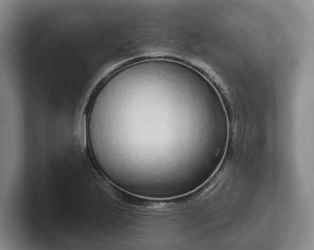 X0000102401175200808081258