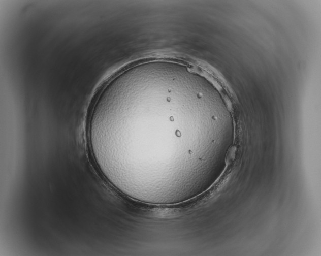 X0000102401176200808081258