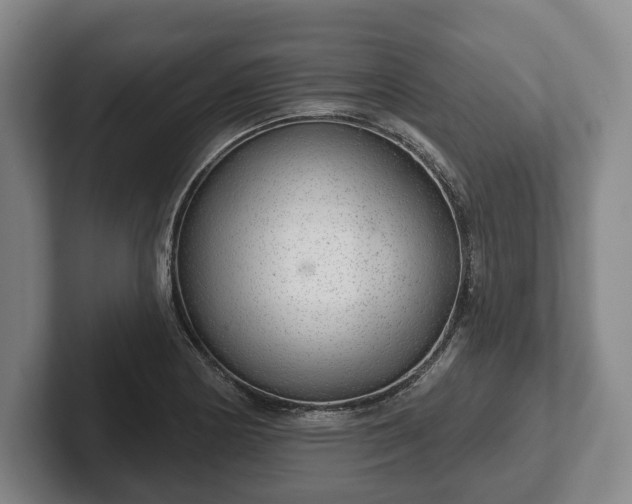 X0000102401178200808081258