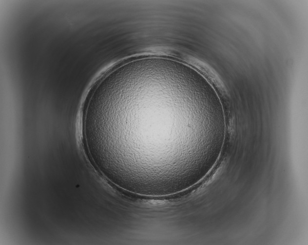 X0000102401180200808081258