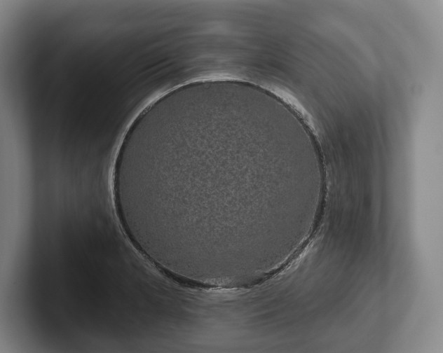 X0000102401181200808081258