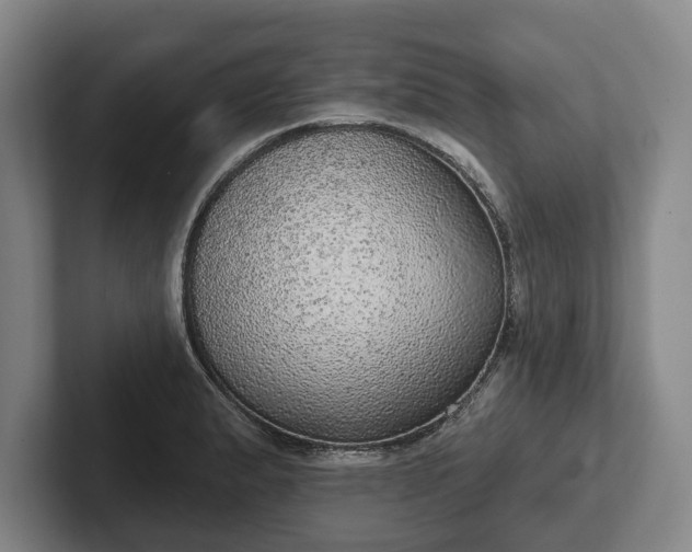 X0000102401183200808081258