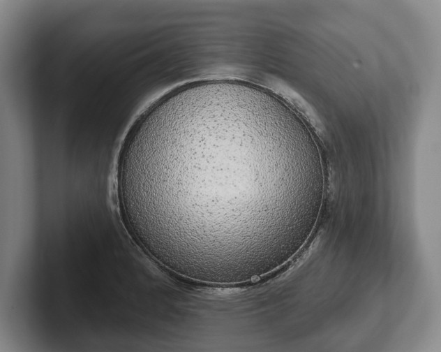 X0000102401184200808081258