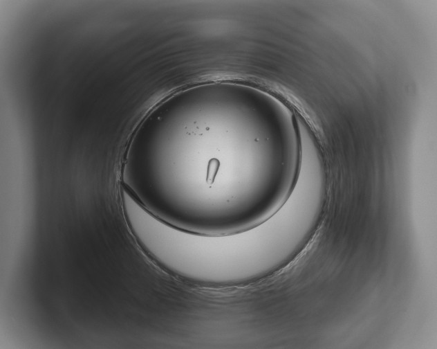 X0000102401185200808081258