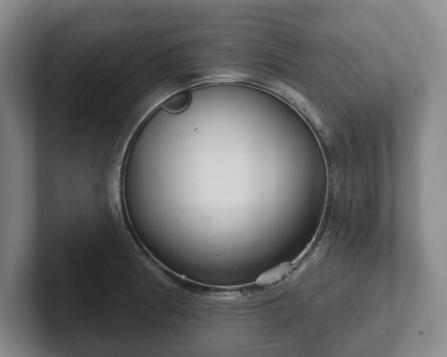 X0000102401186200808081258