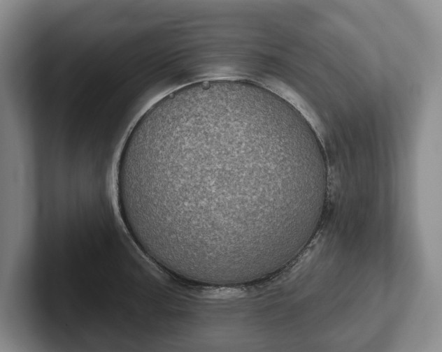 X0000102401187200808081258