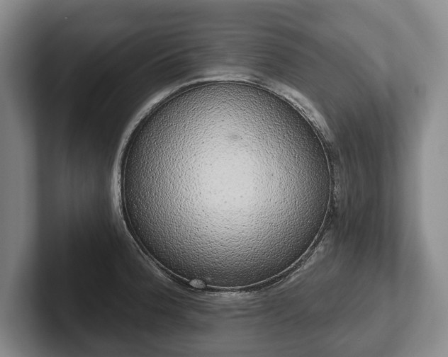 X0000102401188200808081258