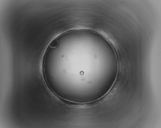 X0000102401189200808081258