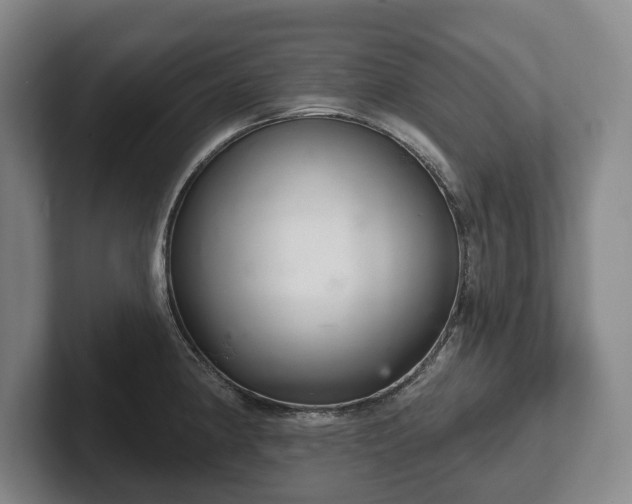 X0000102401190200808081258