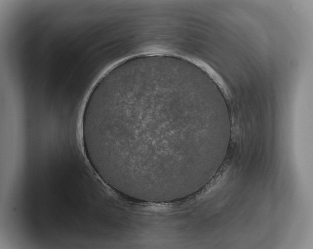 X0000102401191200808081258