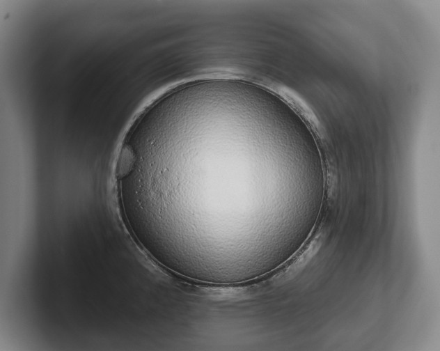 X0000102401192200808081258