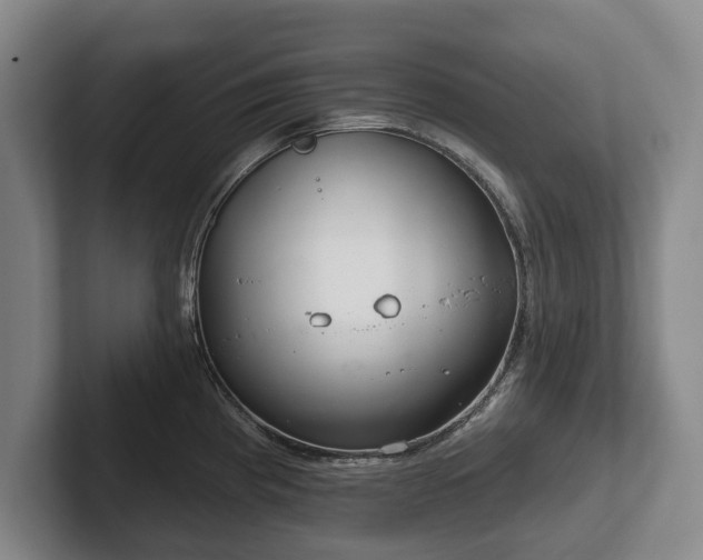 X0000102401193200808081258