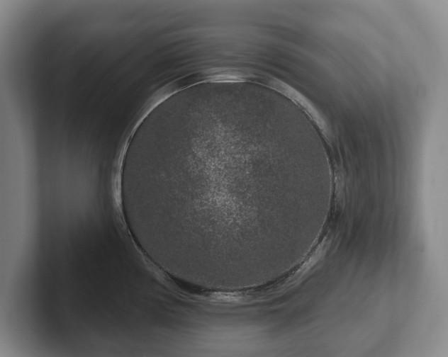 X0000102401194200808081258