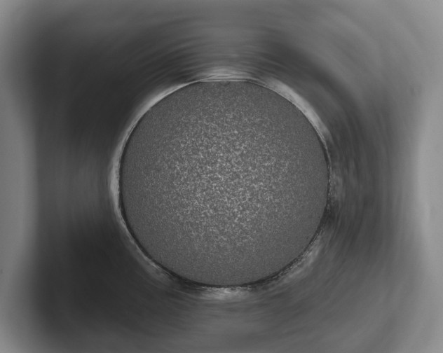 X0000102401195200808081258