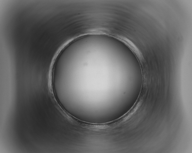 X0000102401196200808081258