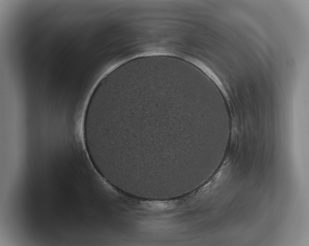 X0000102401197200808081258