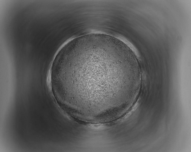 X0000102401198200808081258