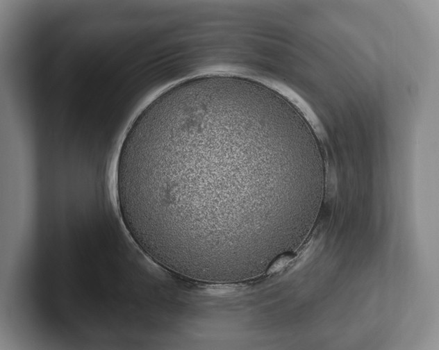 X0000102401199200808081258