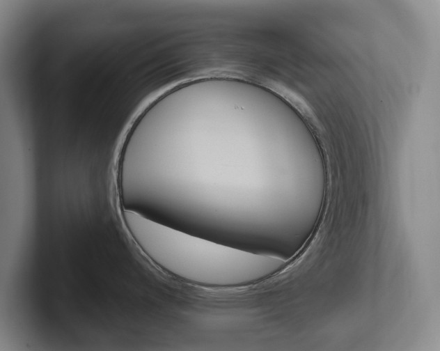 X0000102401200200808081258