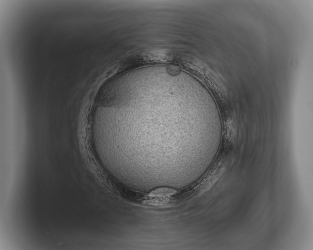 X0000102401201200808081257