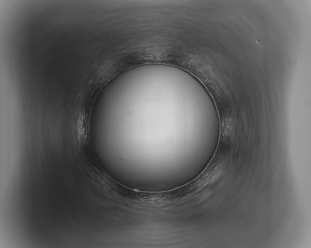 X0000102401202200808081257