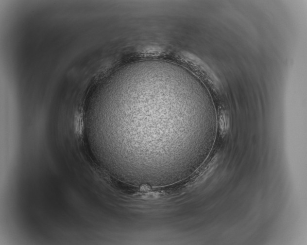 X0000102401204200808081257