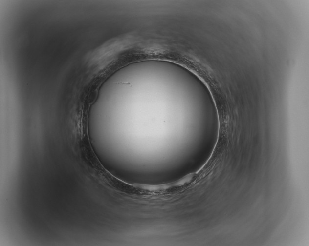 X0000102401205200808081258