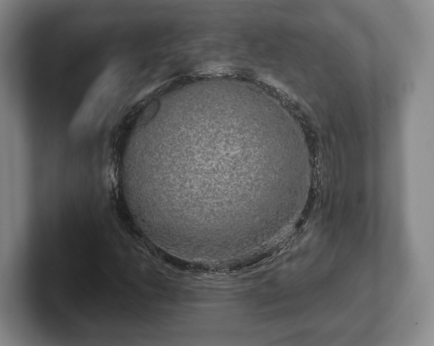 X0000102401206200808081258