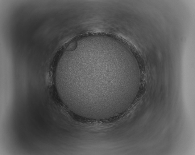 X0000102401207200808081258