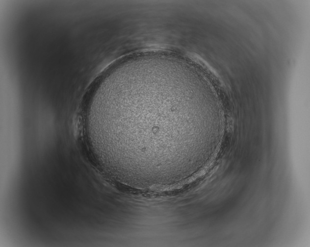 X0000102401208200808081258