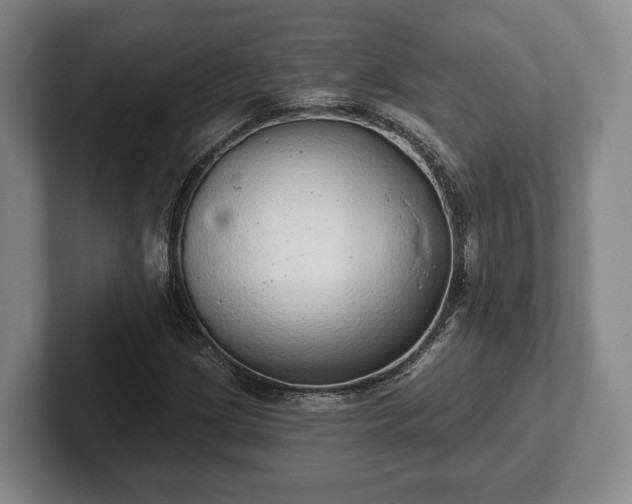 X0000102401209200808081258