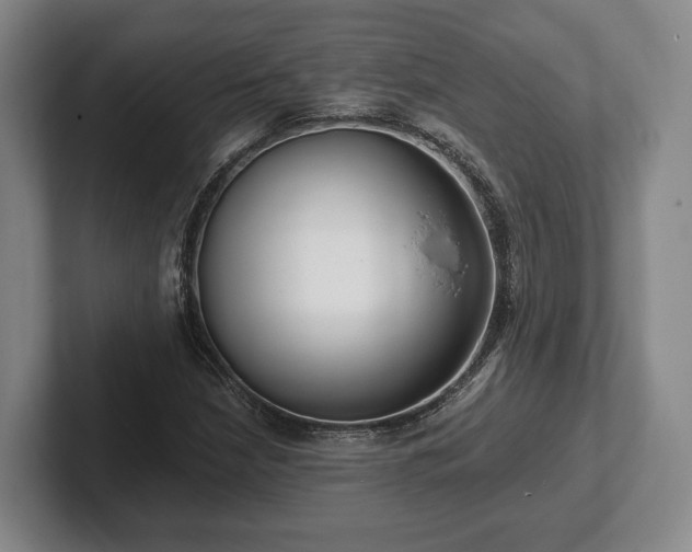 X0000102401210200808081258