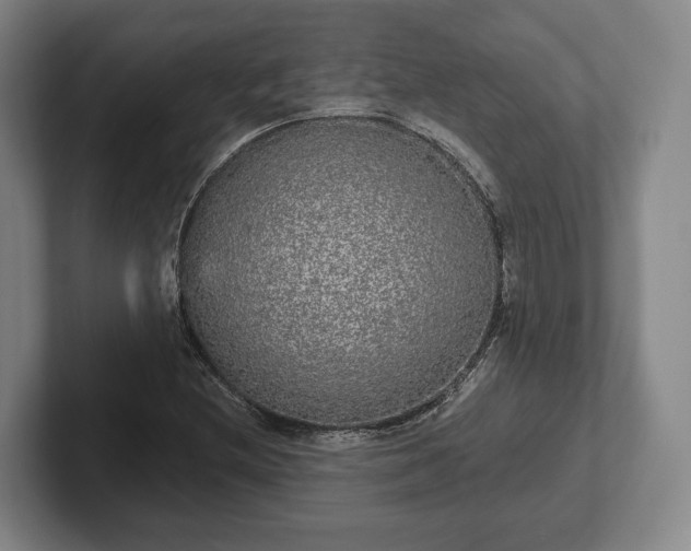 X0000102401212200808081258