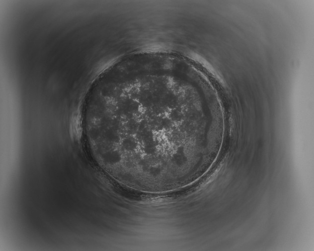 X0000102401213200808081258