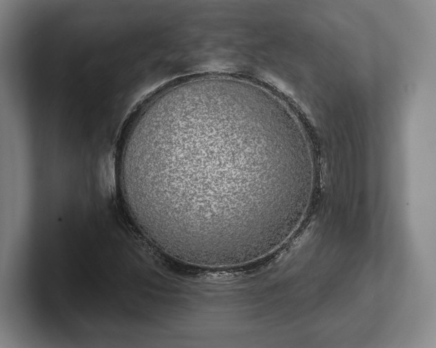 X0000102401214200808081258