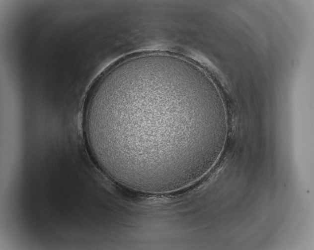 X0000102401216200808081258