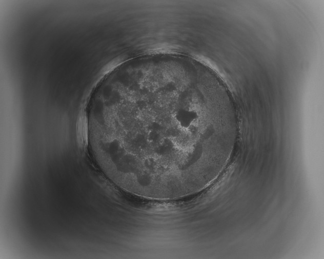 X0000102401219200808081258