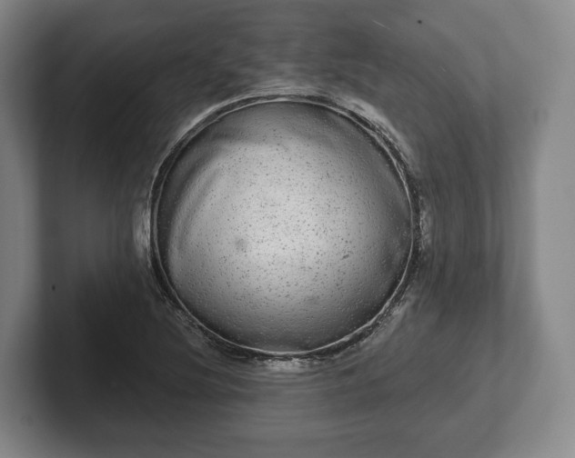 X0000102401220200808081258