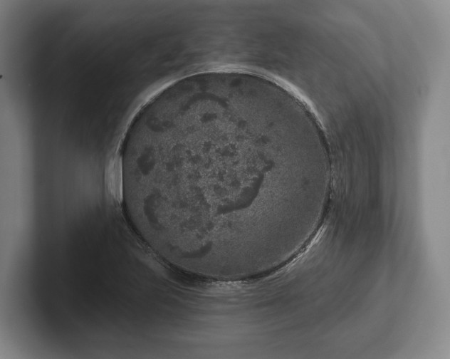 X0000102401223200808081258