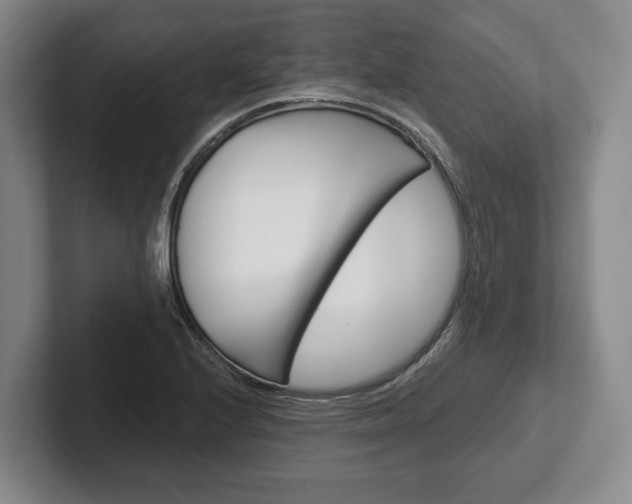 X0000102401224200808081258