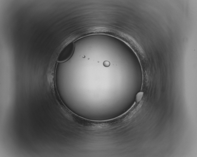 X0000102401225200808081258