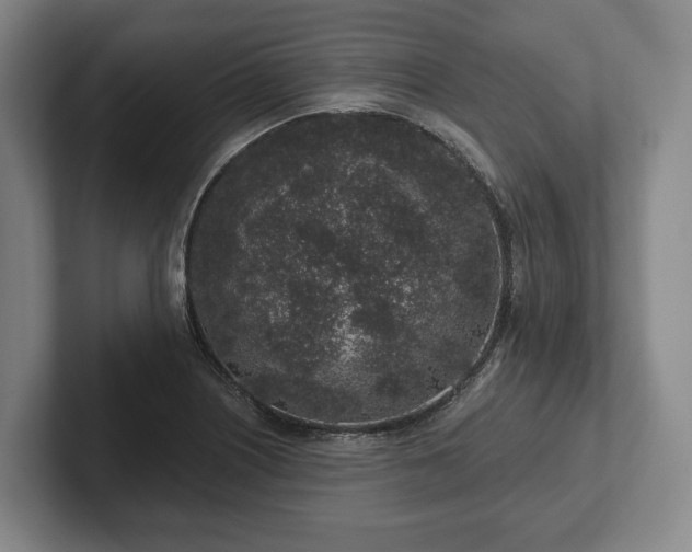 X0000102401226200808081258