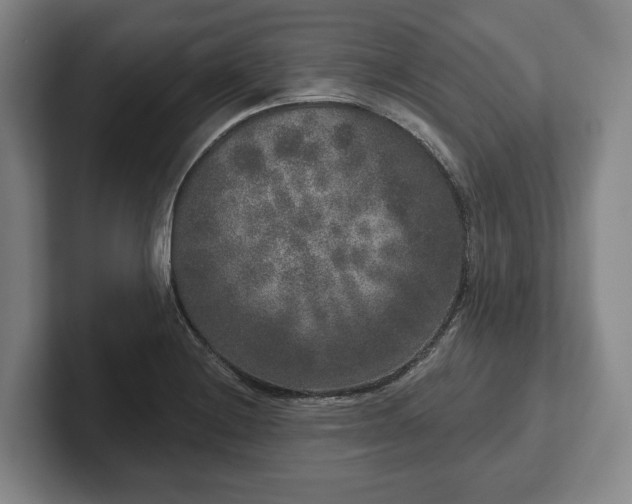 X0000102401228200808081258