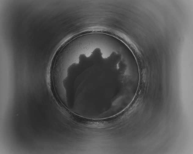 X0000102401229200808081258