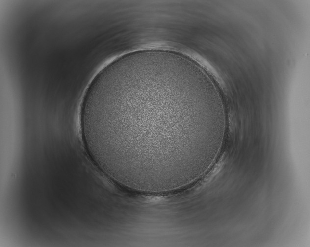 X0000102401230200808081258