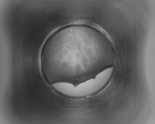 X0000102401232200808081258