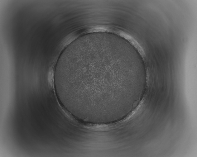 X0000102401233200808081258