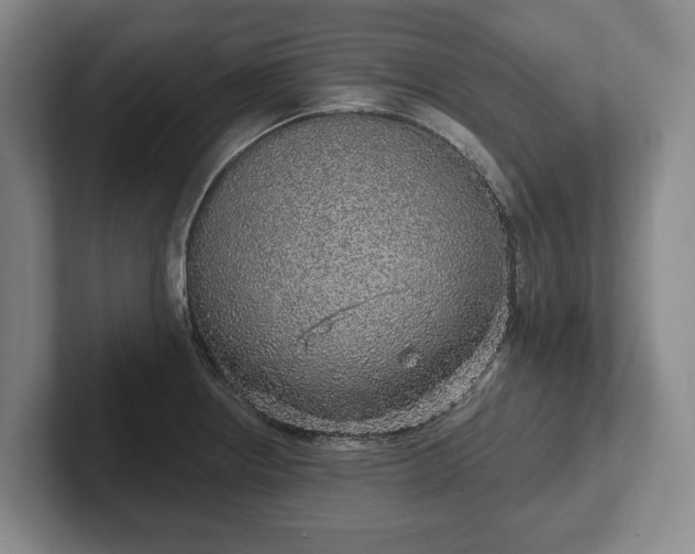 X0000102401234200808081258