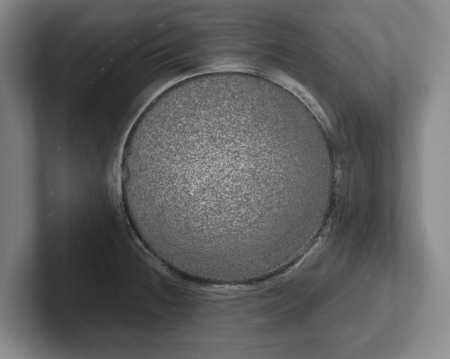 X0000102401236200808081258