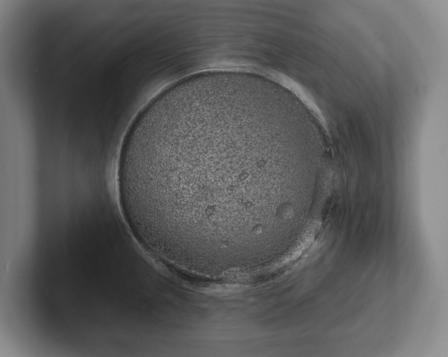 X0000102401237200808081258